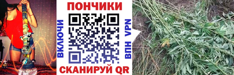 Купить МАРИХУАНА Галлюциногенные грибы ГАШИШ Меф мяу мяу СОЛЬ Красногорск